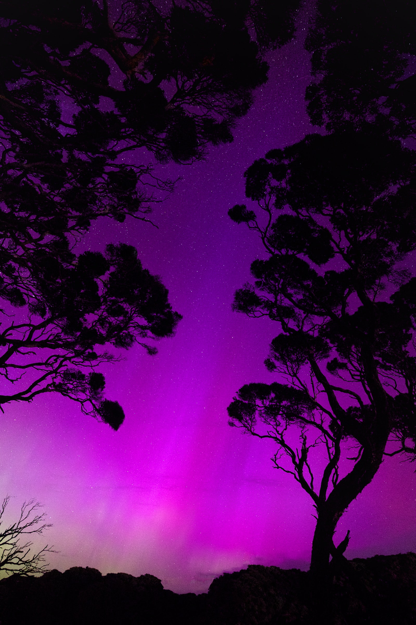 Southern Lights